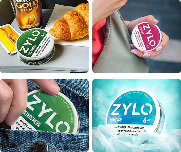 zylo flavored nicotine pouches