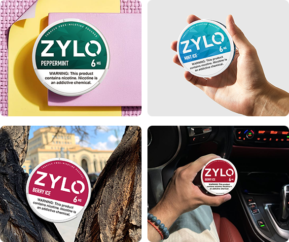 zylo flavored nicotine pouches