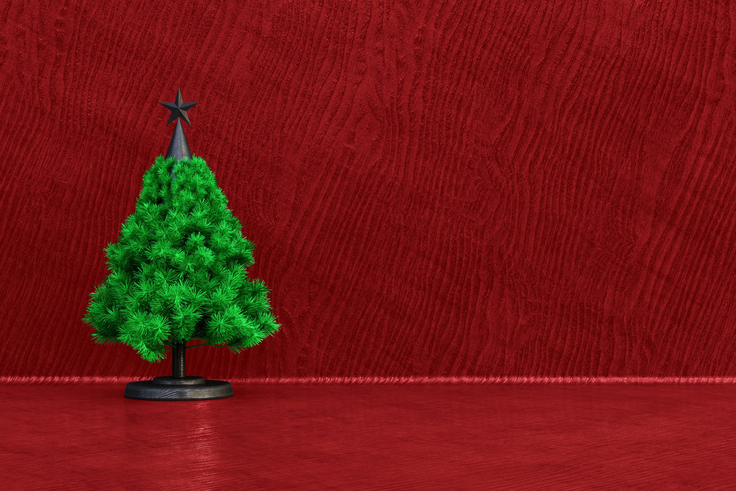 Display Christmas Trees